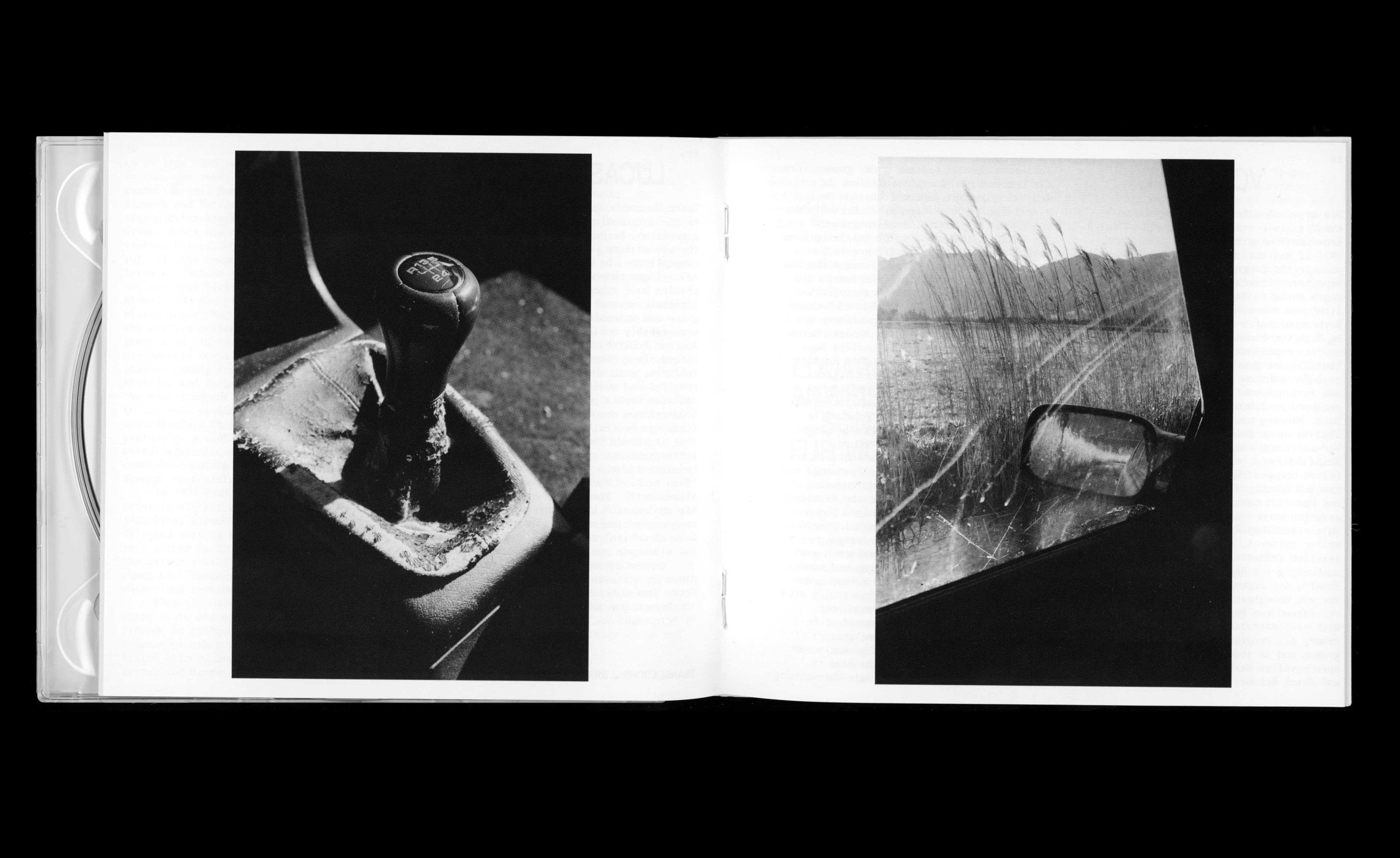 Daily Dialogue, project: Aldilà Records (Fig. 2)