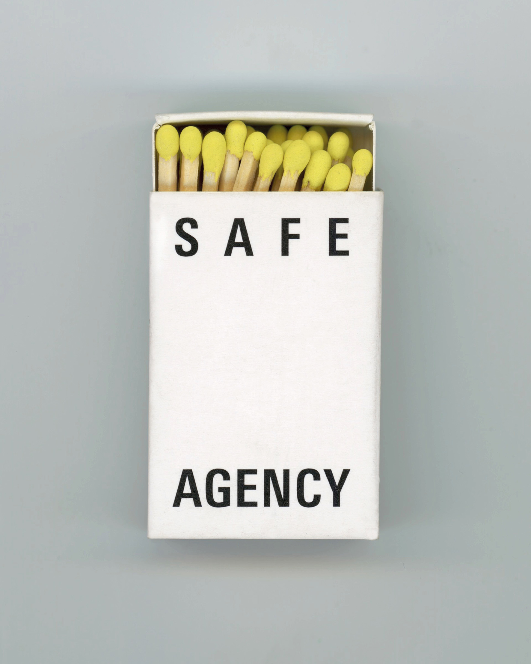Daily Dialogue, project: SAFE AGENCY (Fig. 4)