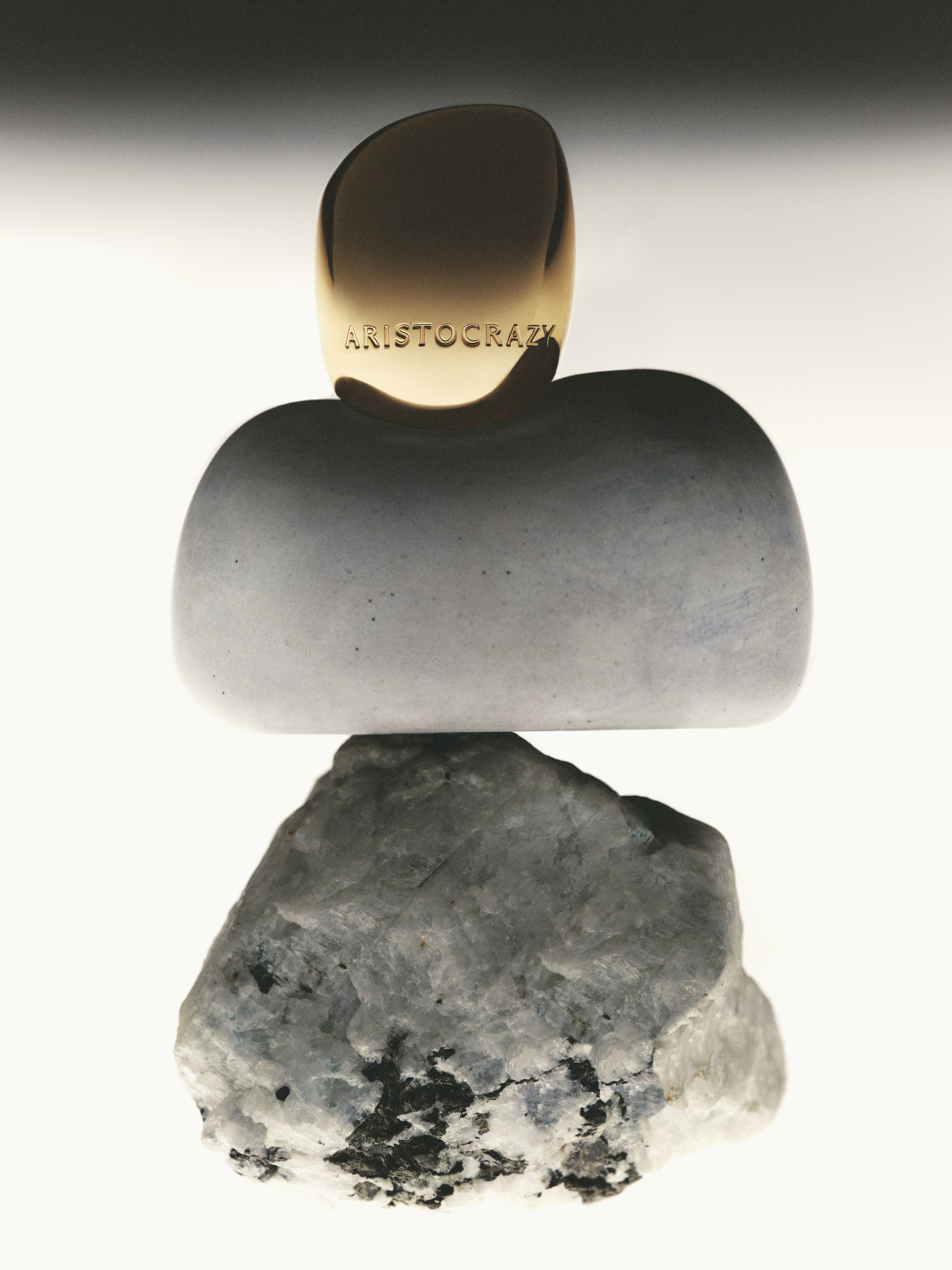 Daily Dialogue, project: Aristocrazy (Fig. 7)