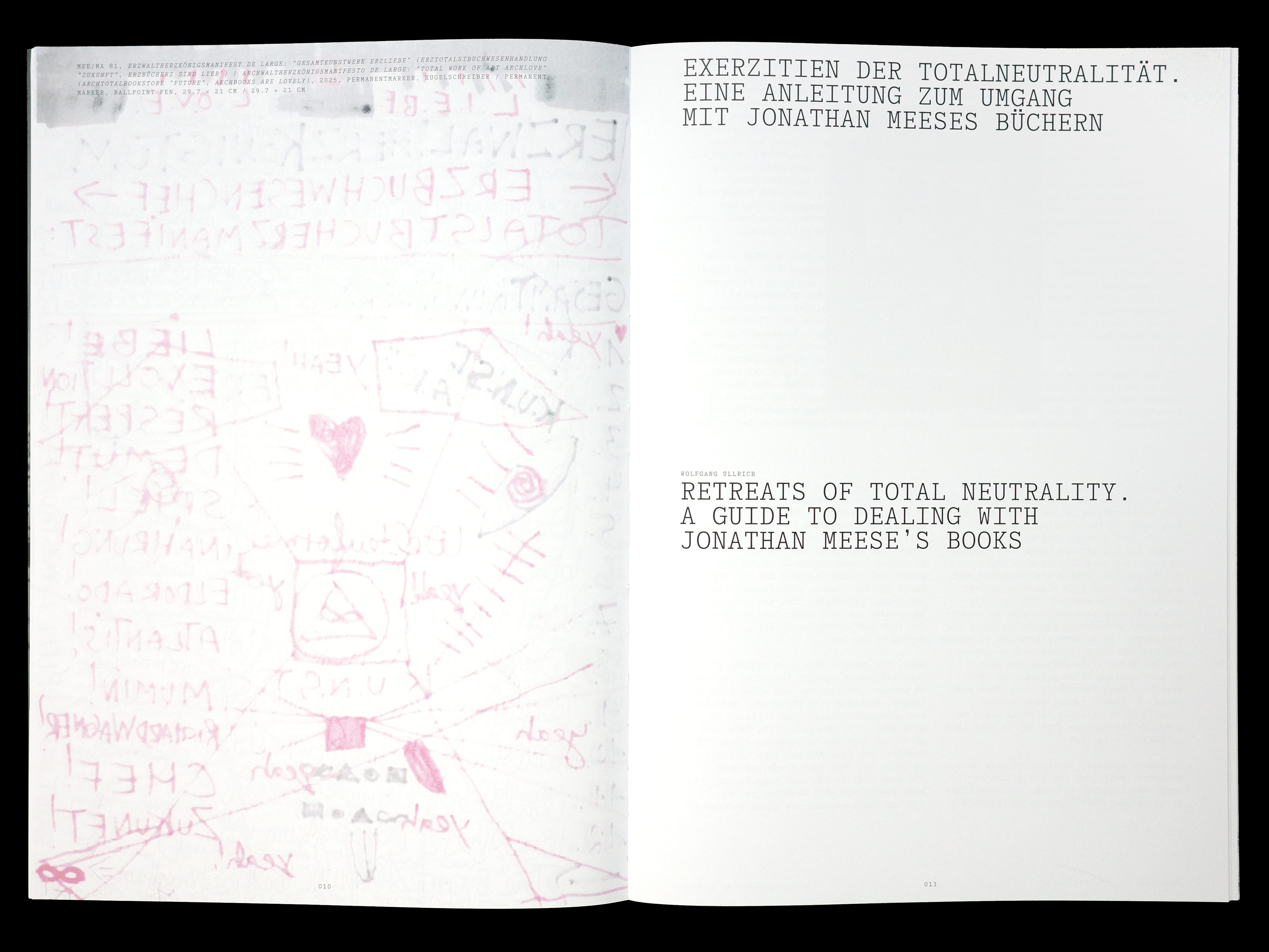 Daily Dialogue, project: Jonathan Meese ’Book of Books’ (Fig. 3)
