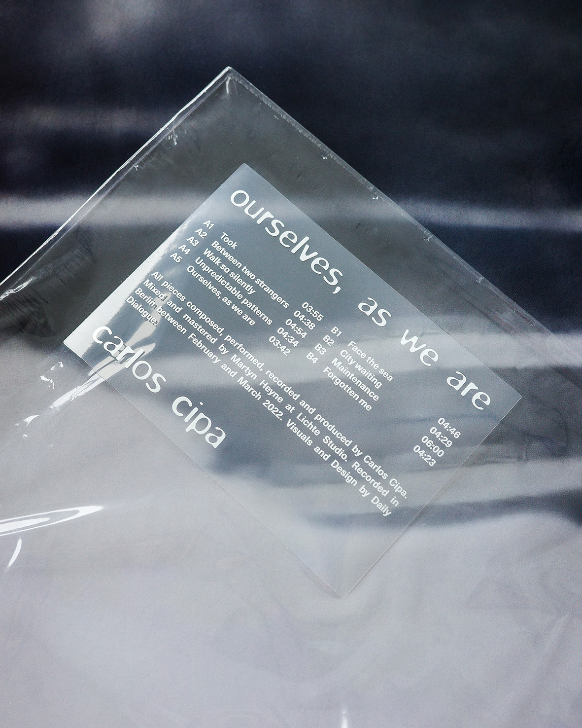 Daily Dialogue, Work: Carlos Cipa ‘Oursleves, as we are’ (Thumbnail)