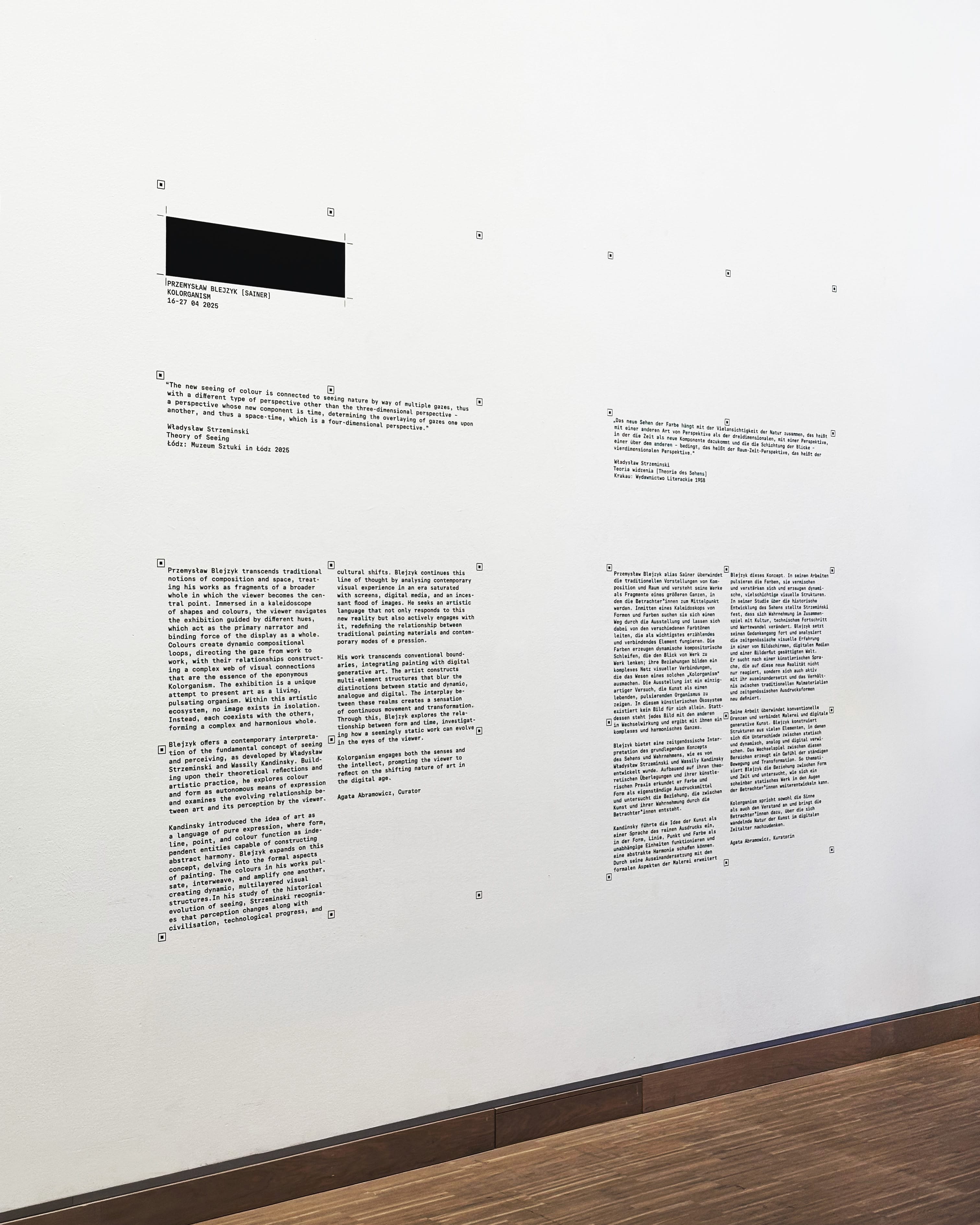 Daily Dialogue, project: Sainer Kolorganism (Fig. 8)