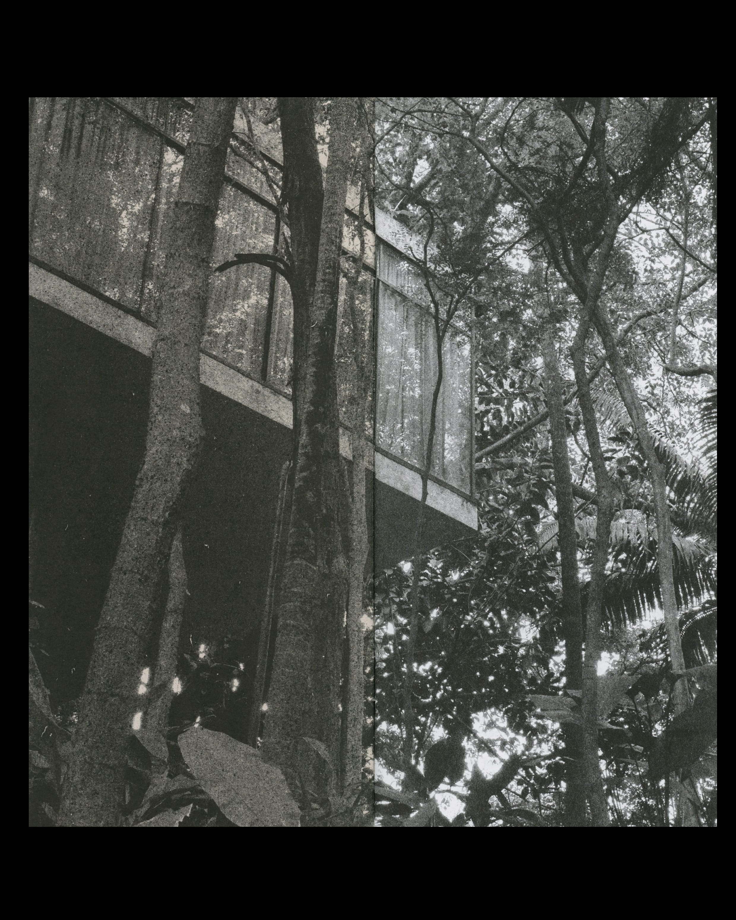 Daily Dialogue, project: La Mano derecha untada de azúcar la mano izquierda cubierta de harina (Fig. 2)