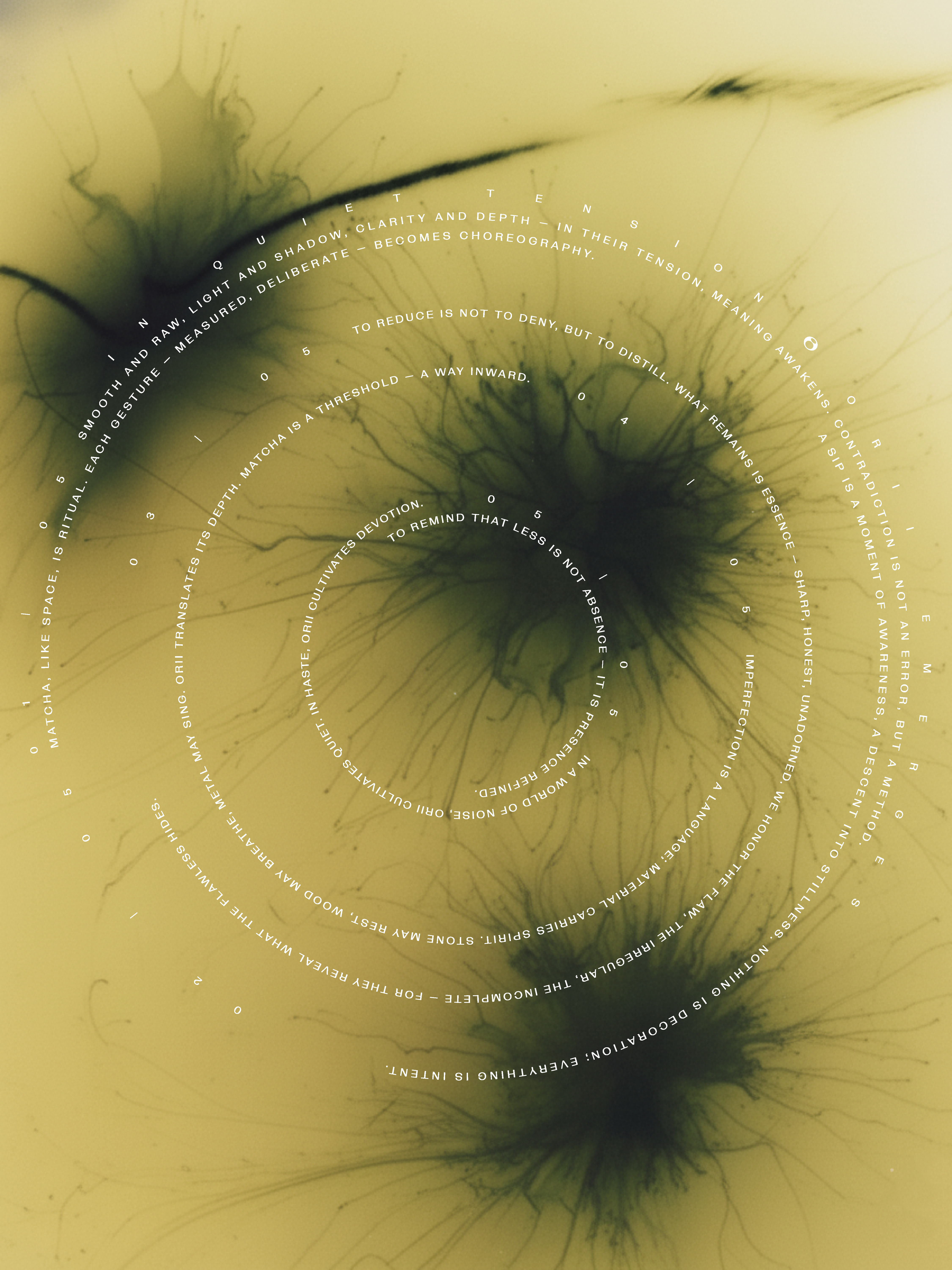 Daily Dialogue, project: ORII (Fig. 6)