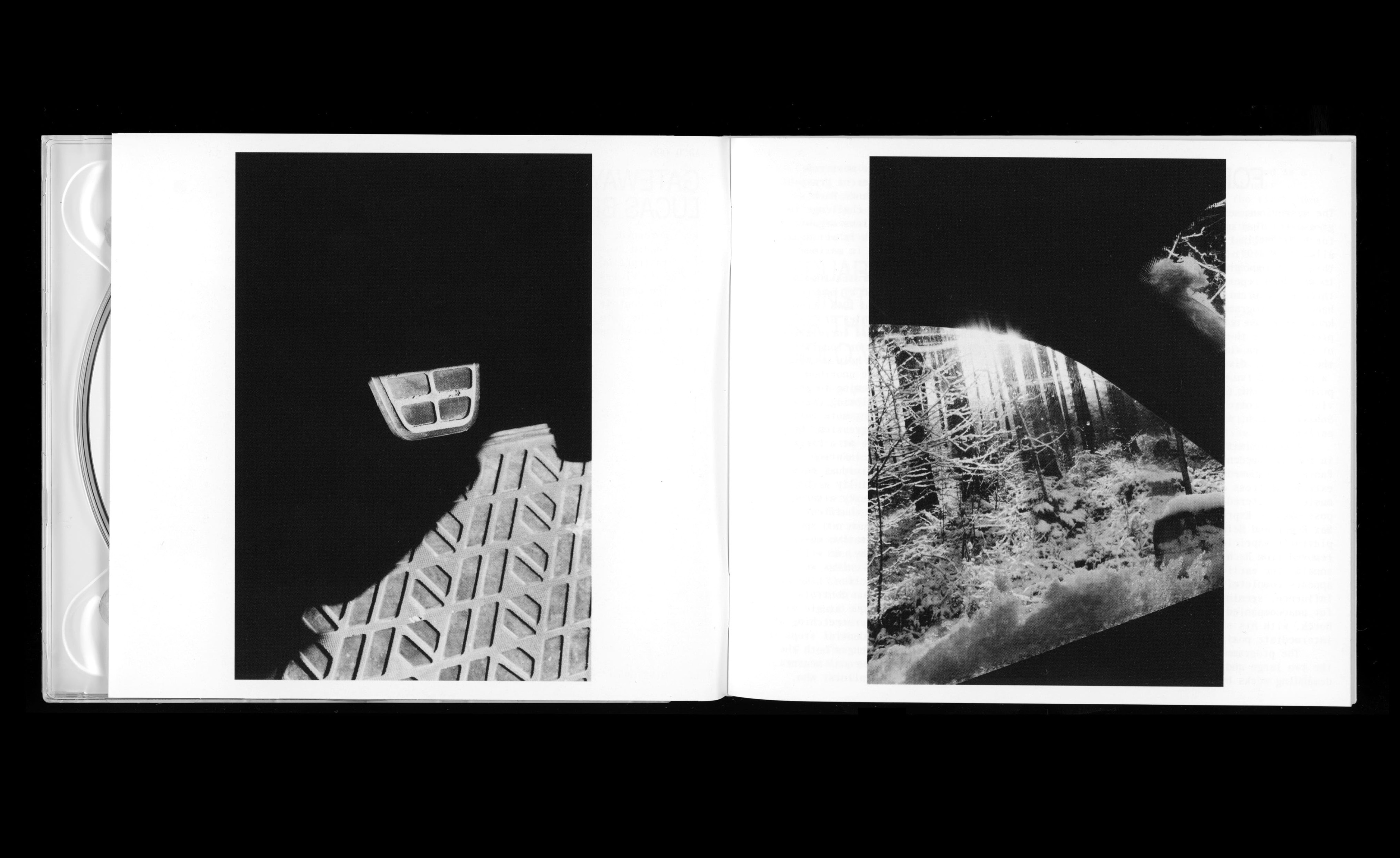 Daily Dialogue, project: Aldilà Records (Fig. 2)