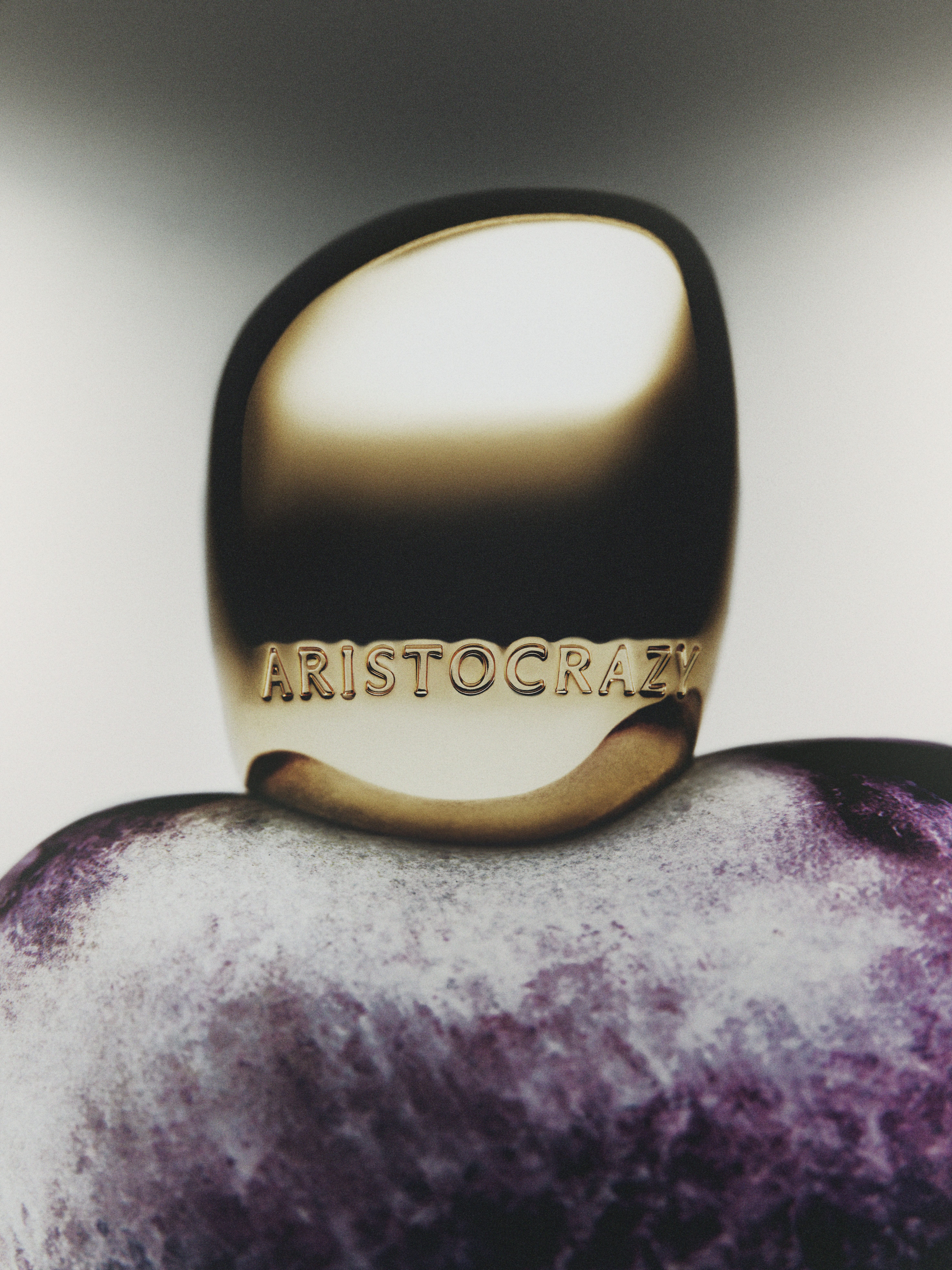 Daily Dialogue, project: Aristocrazy (Fig. 3)