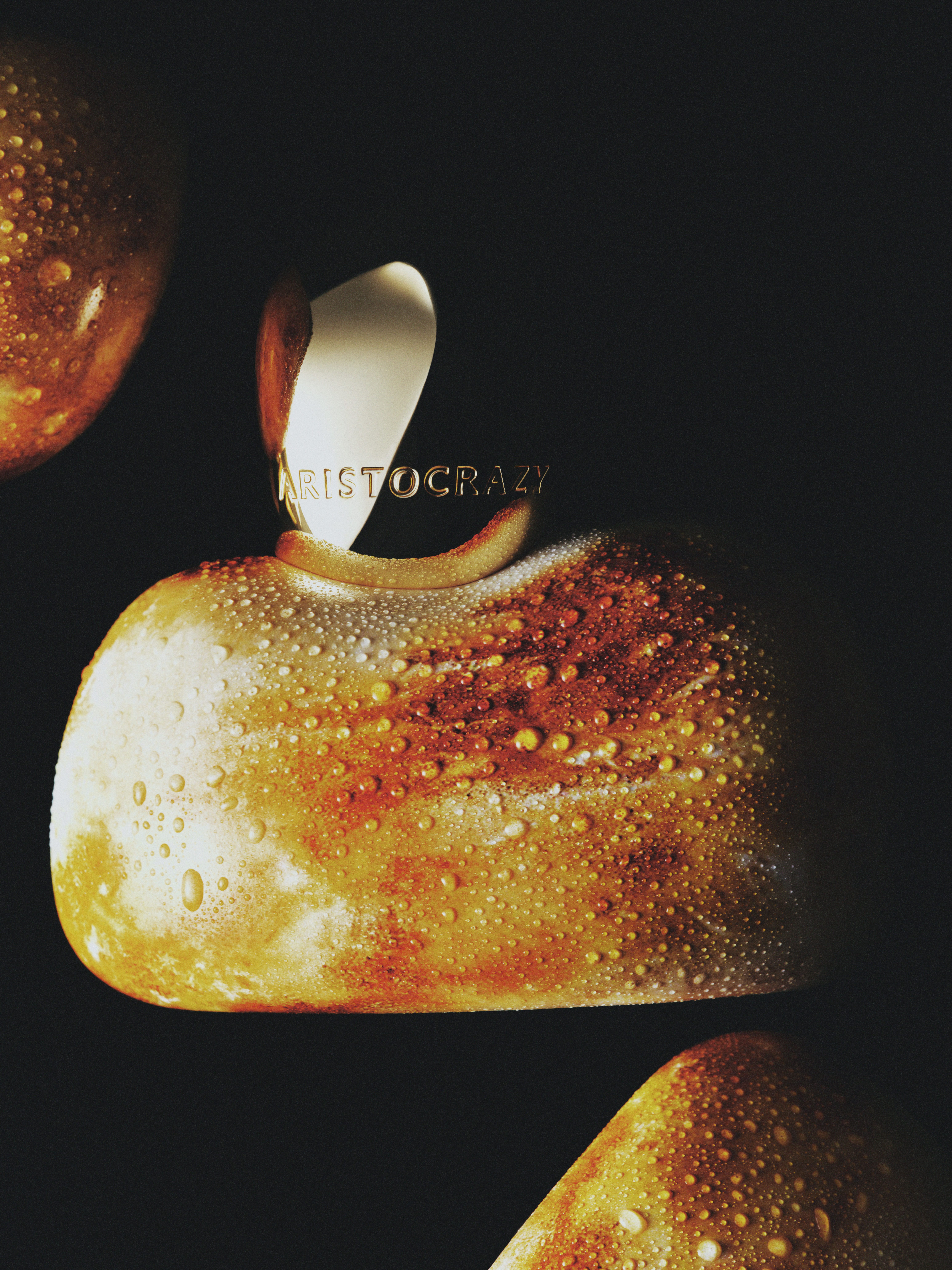 Daily Dialogue, project: Aristocrazy (Fig. 12)