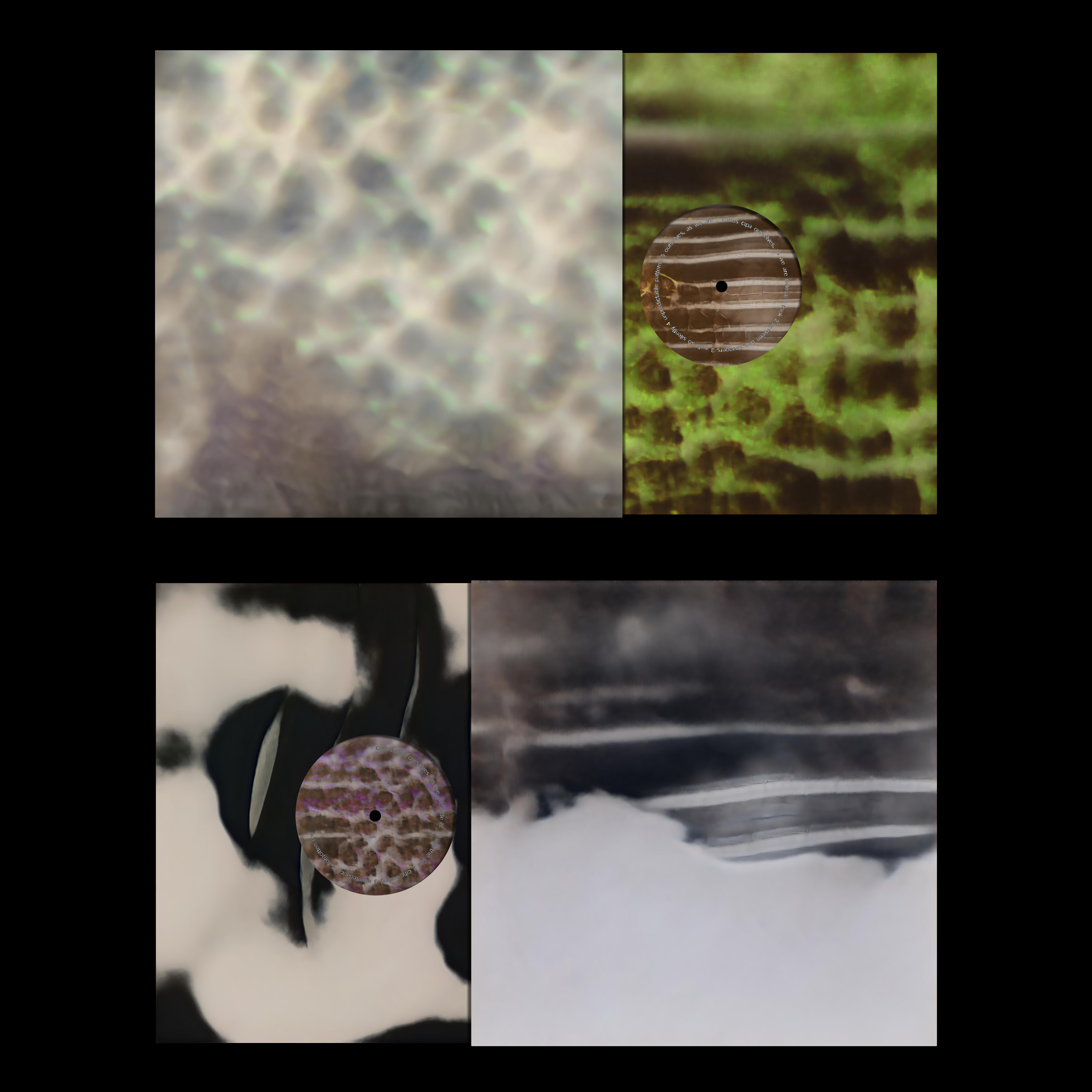 Daily Dialogue, Work: Carlos Cipa ‘Oursleves, as we are’ (Thumbnail alt.)