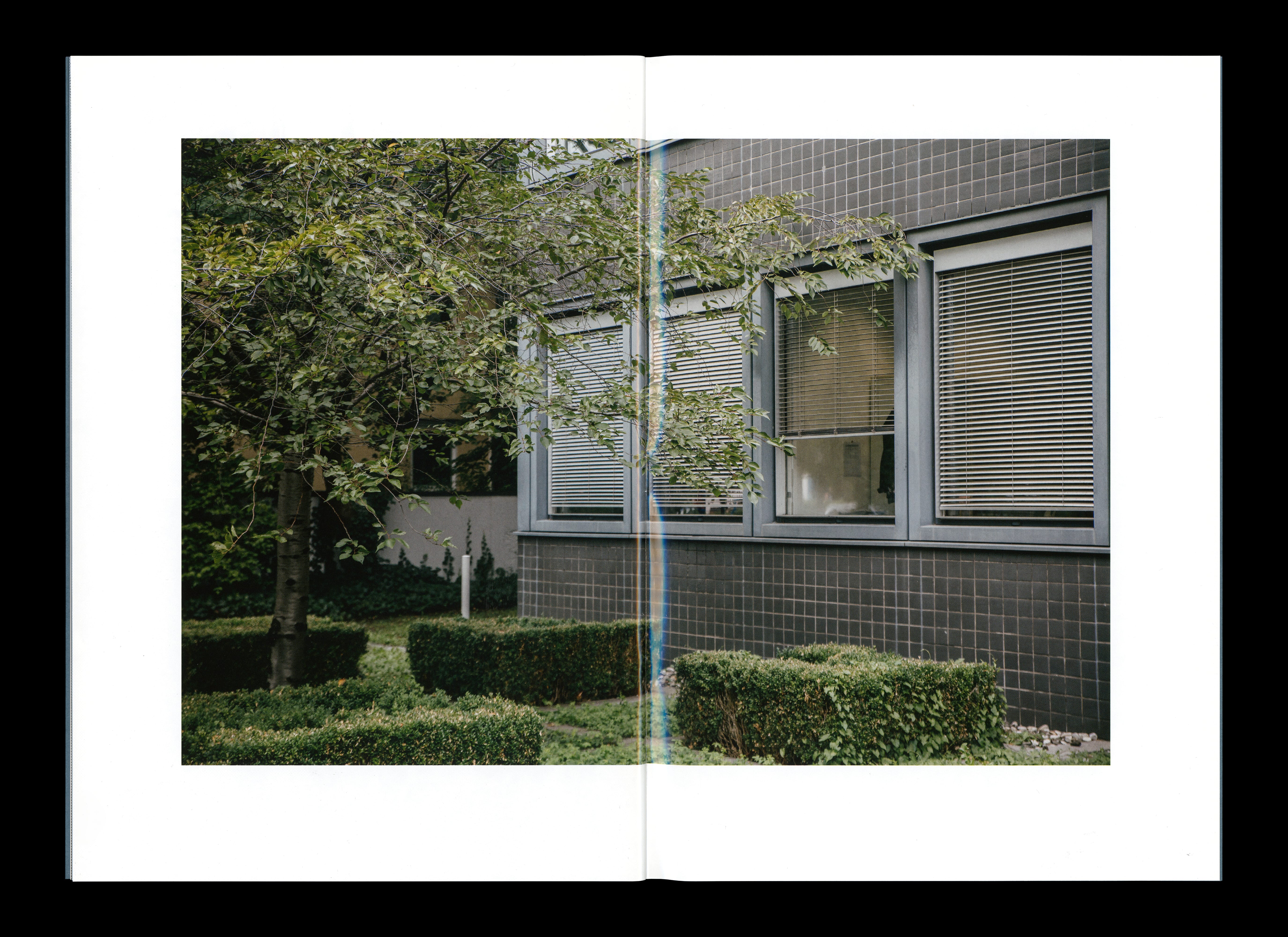 Daily Dialogue, project: MNA Publications (Fig. 2)