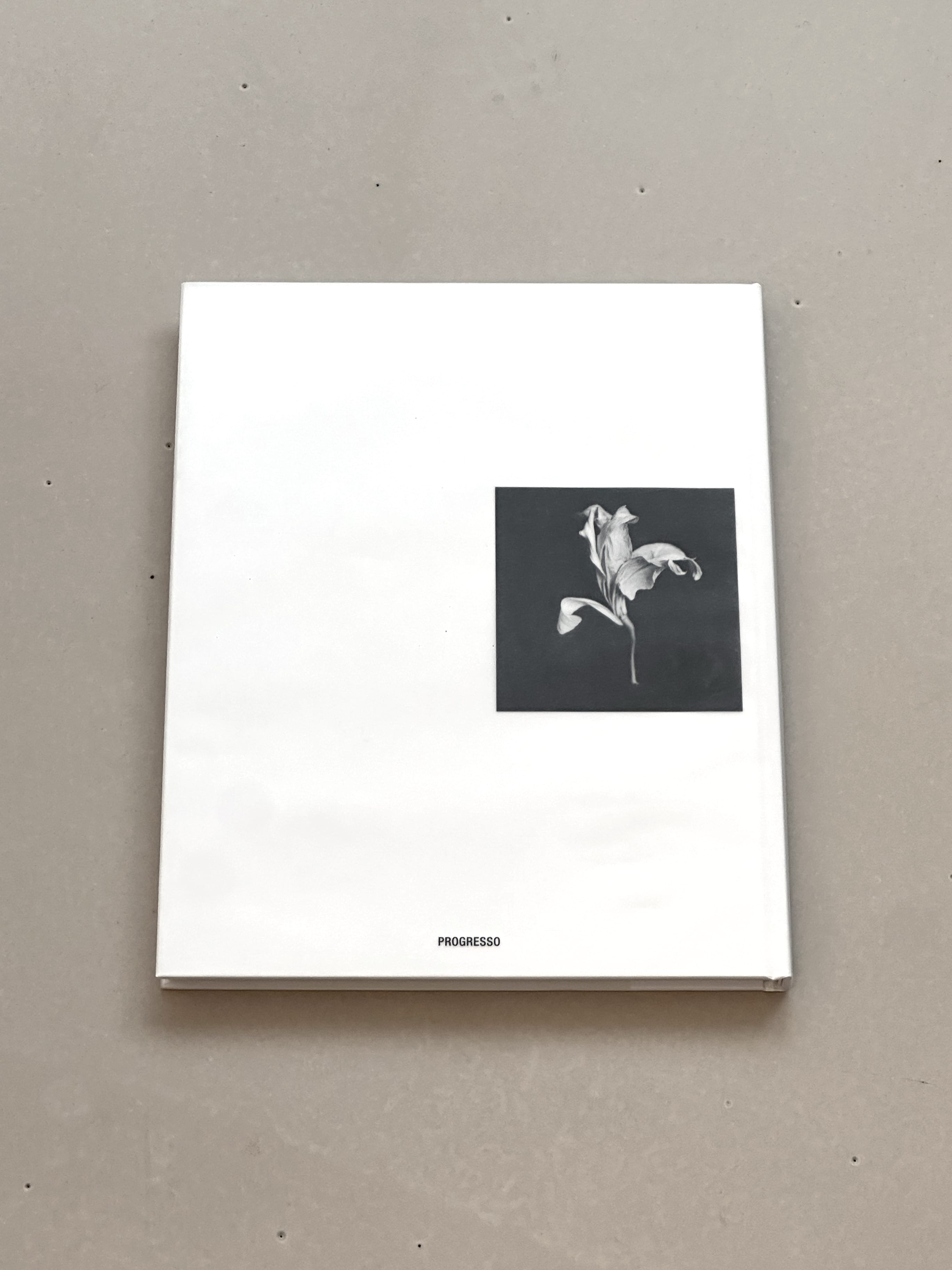 Daily Dialogue, project: PROGRESSO Archive 009 – Gorka Postigo (Fig. 4)