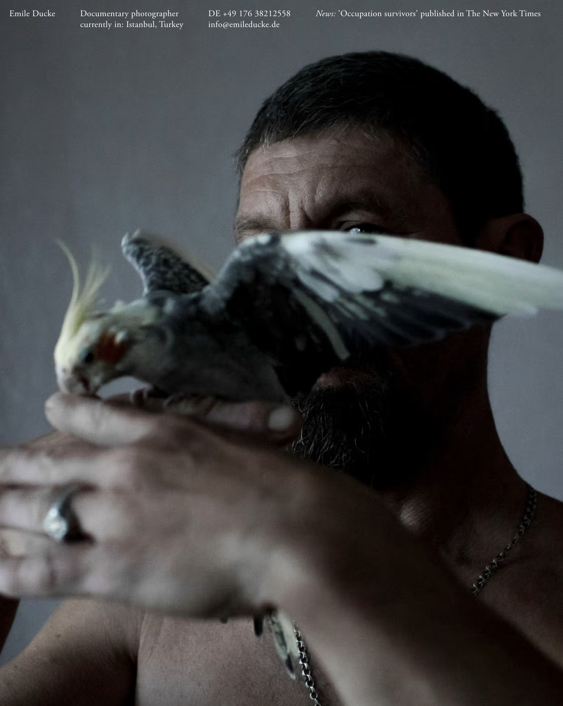 Daily Dialogue, Work: Emile Ducke (Thumbnail)