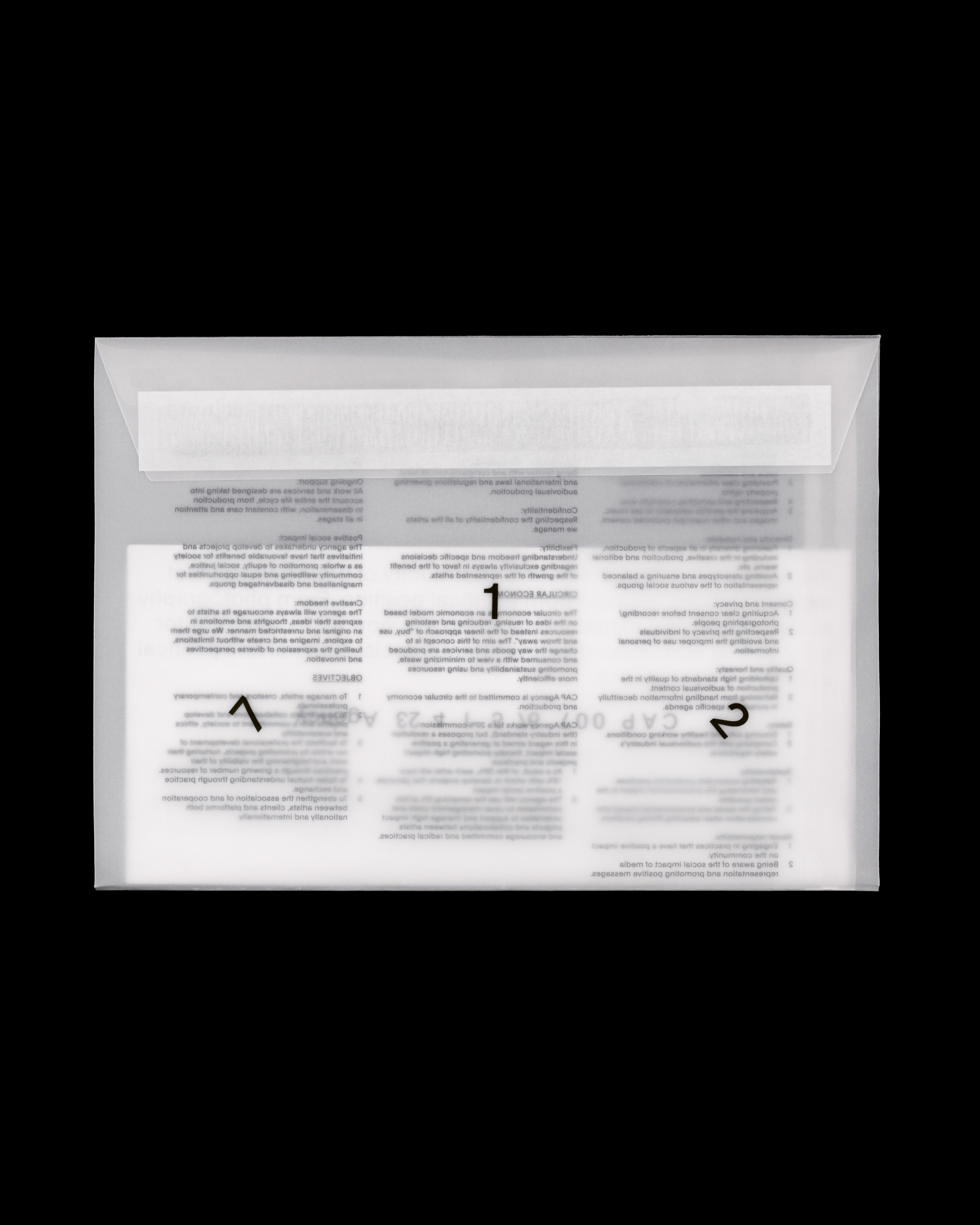 Daily Dialogue, project: CAP 007 Agency (Fig. 2)