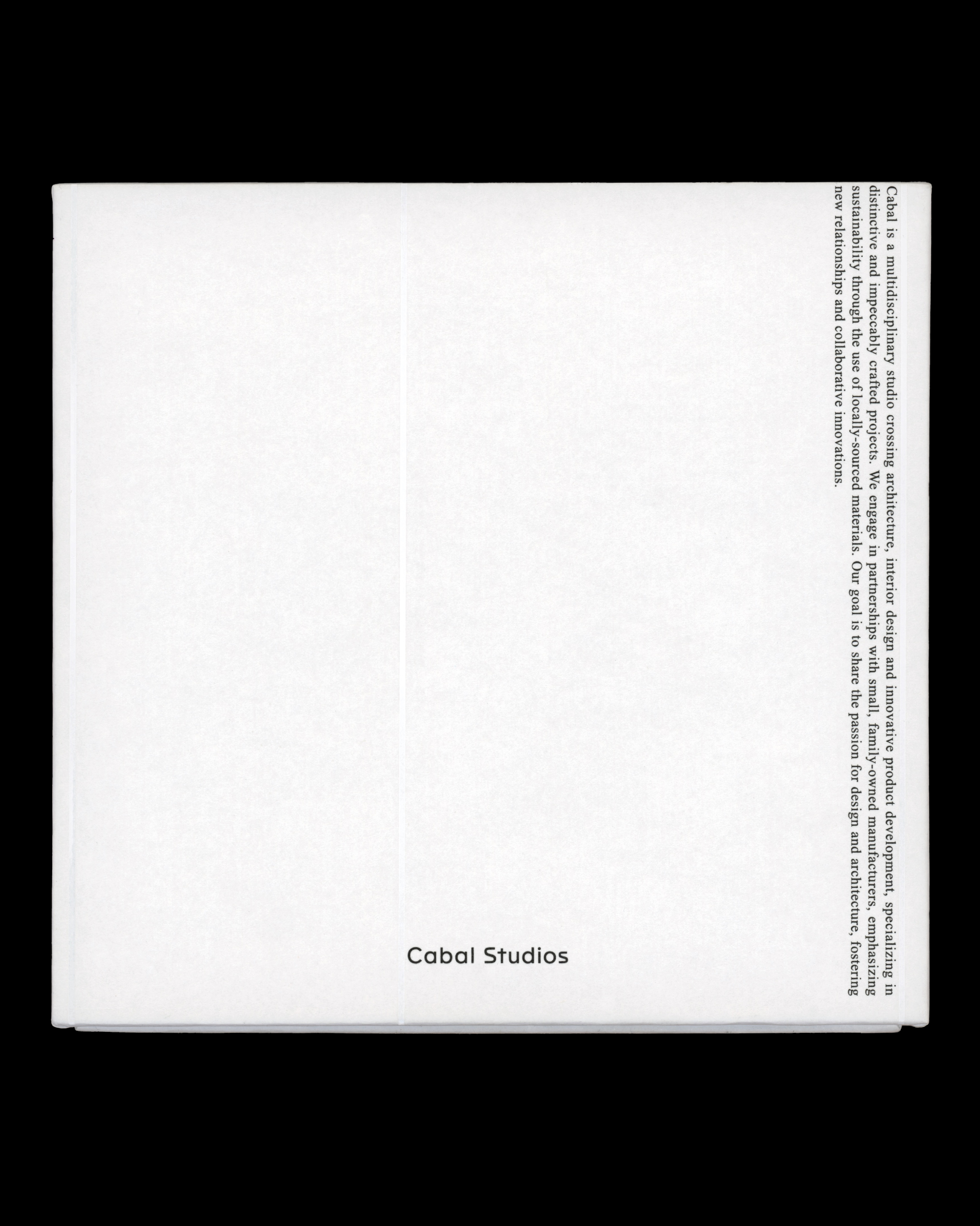 Daily Dialogue, project: Cabal Studios (Fig. 6)